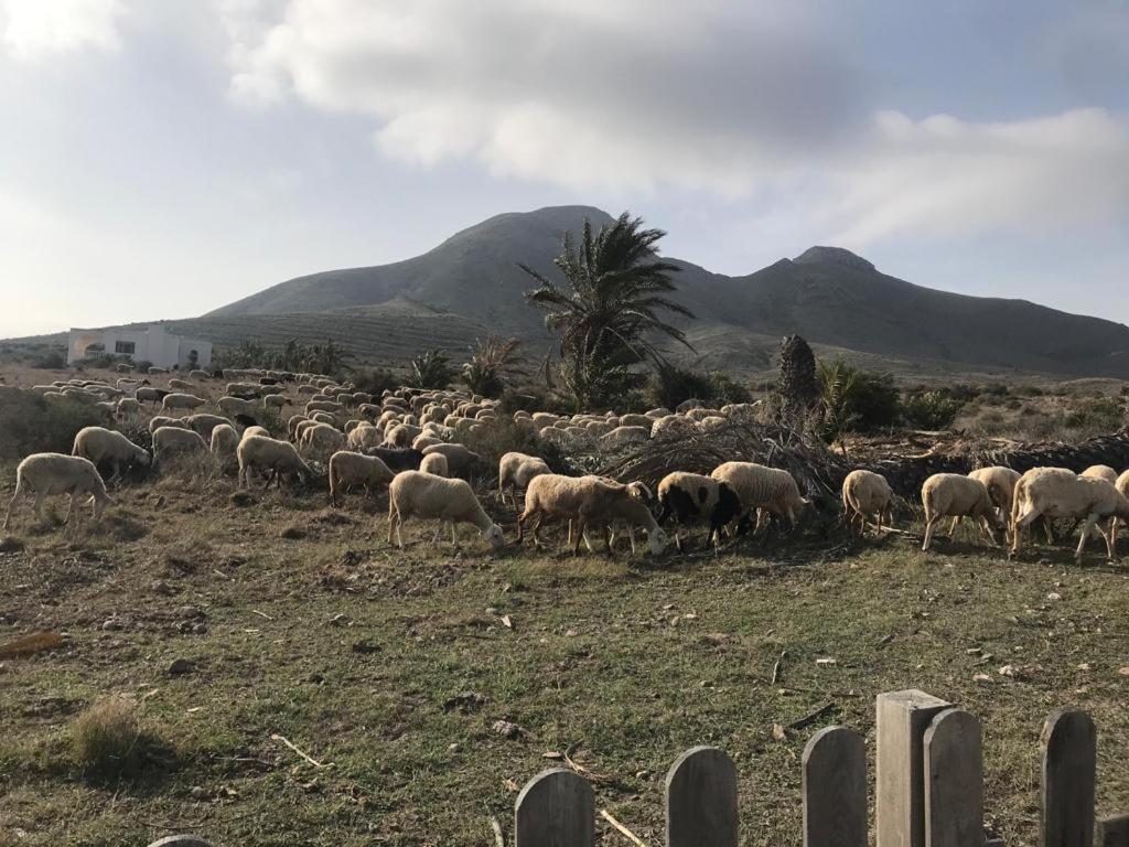 Pensjonat Bluemar Almería Zewnętrze zdjęcie